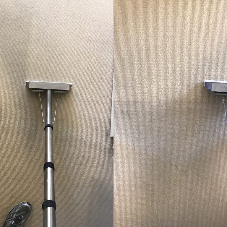 Carpet Cleaning Before and After